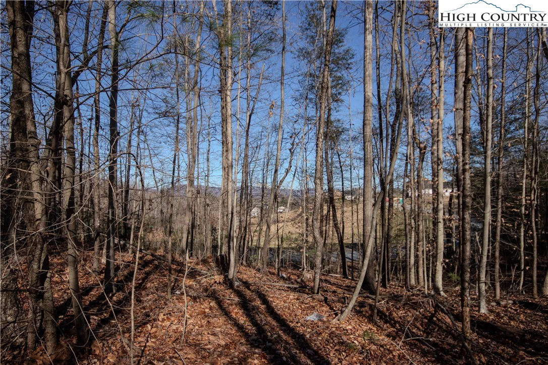 Image number 5 for the current listing