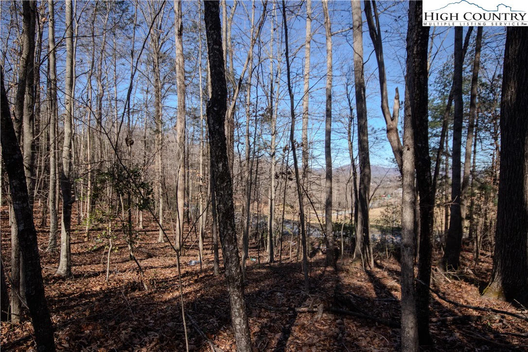 Image number 7 for the current listing