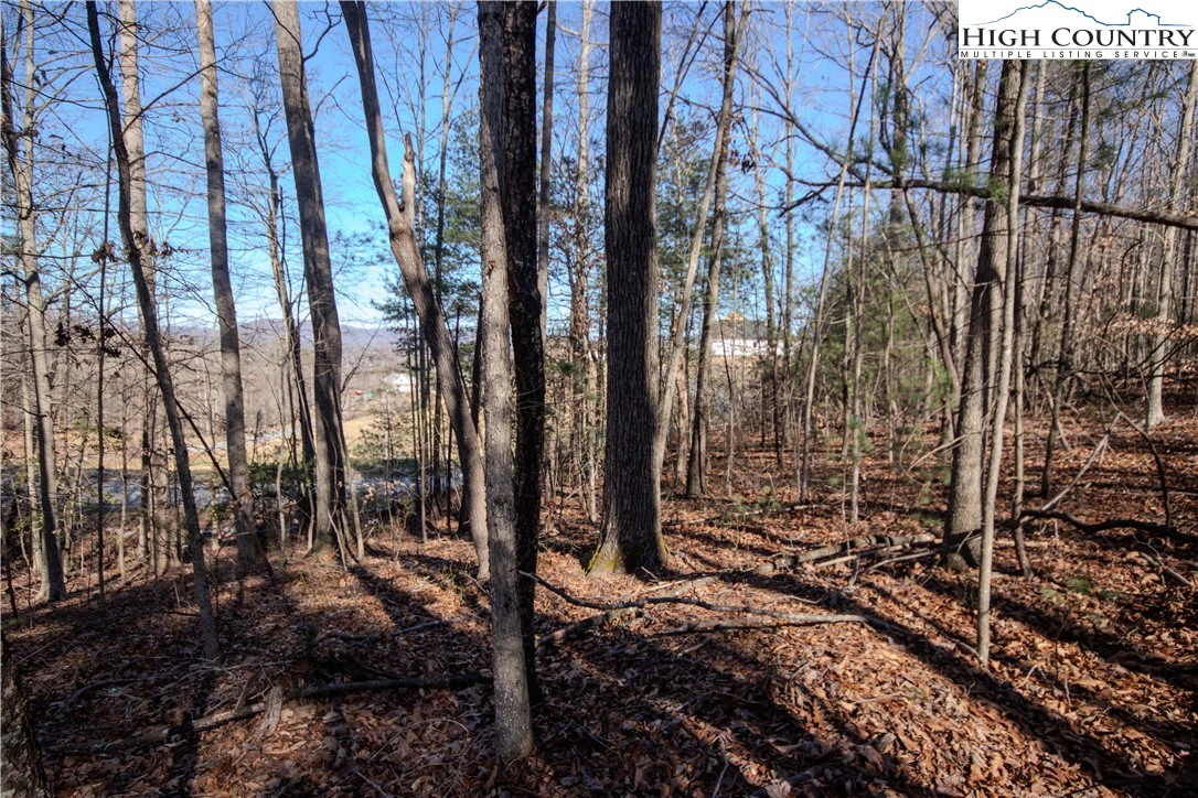 Image number 8 for the current listing