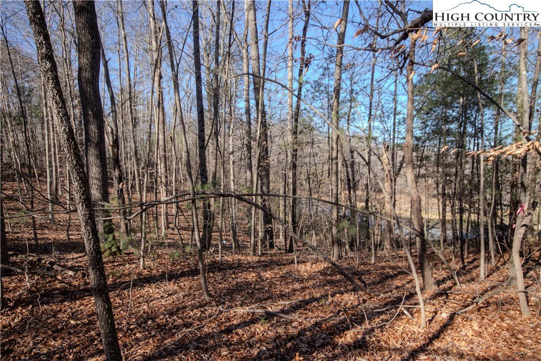 Image number 9 for the current listing