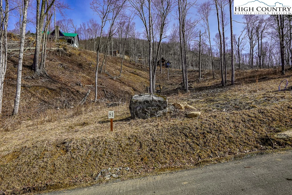 Image number 4 for the current listing