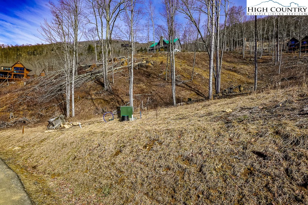 Image number 5 for the current listing
