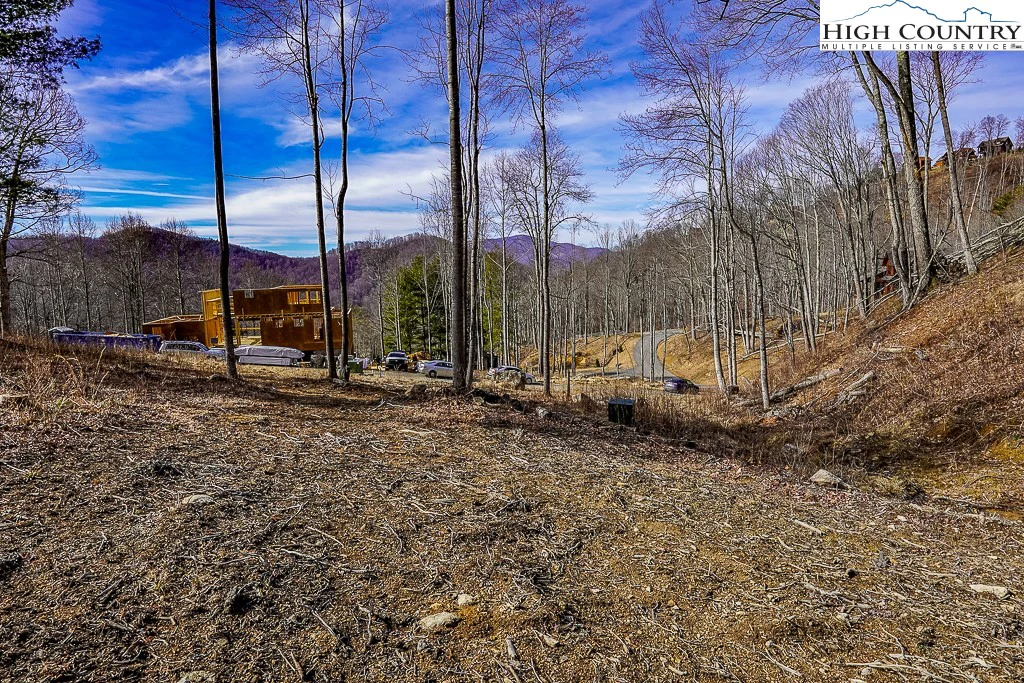Image number 1 for the current listing