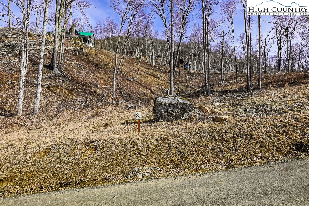 Image number 7 for the current listing