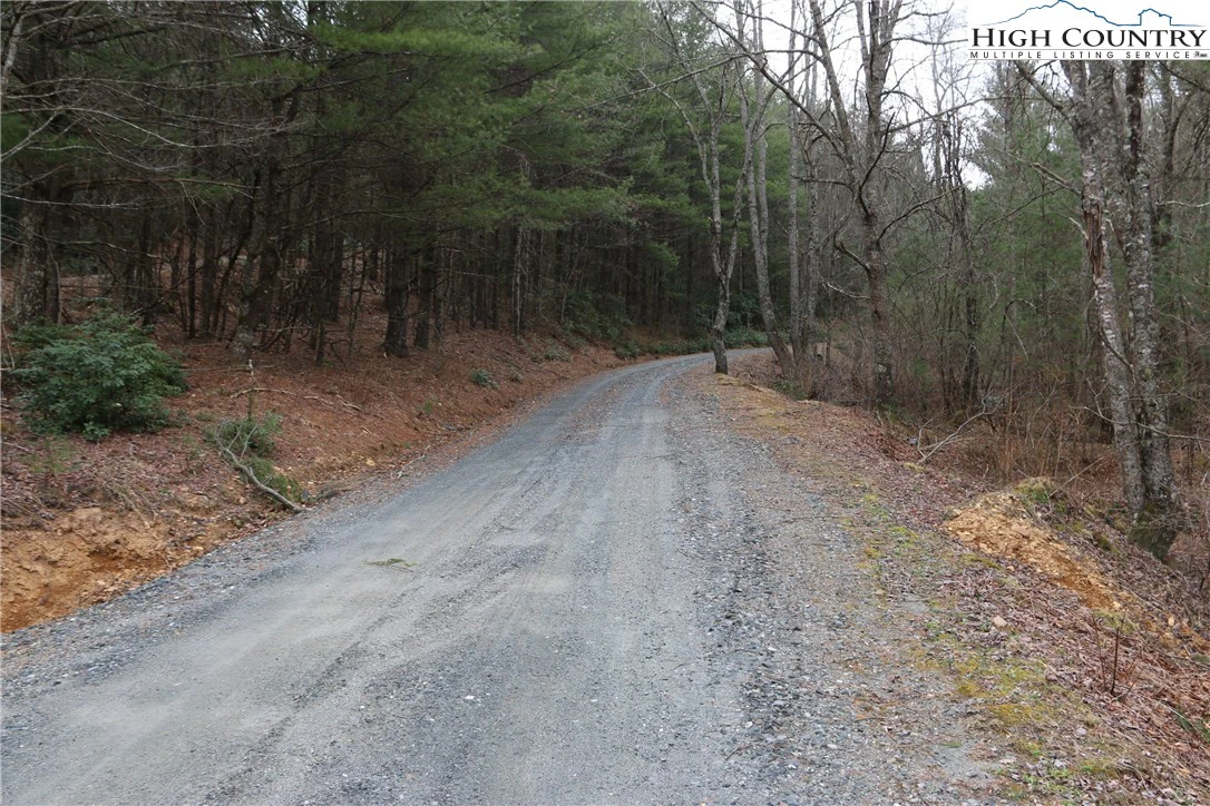 Image number 3 for the current listing