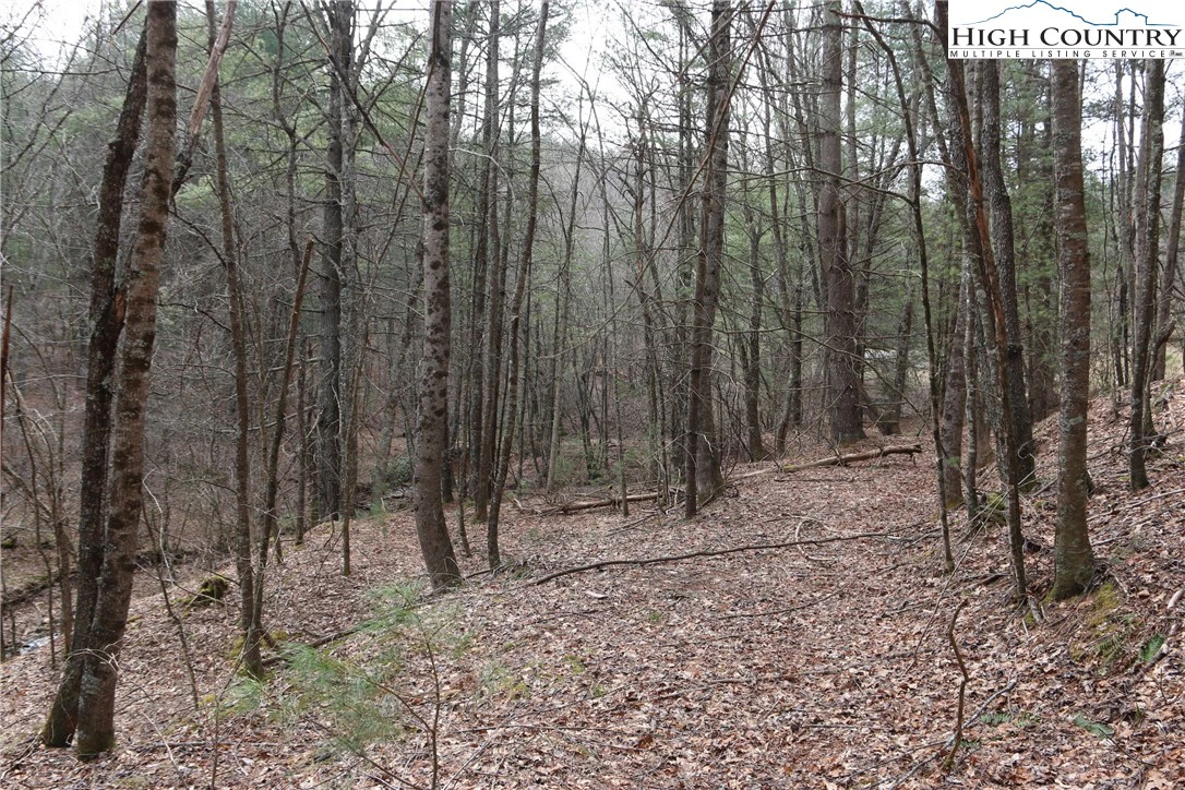 Image number 6 for the current listing