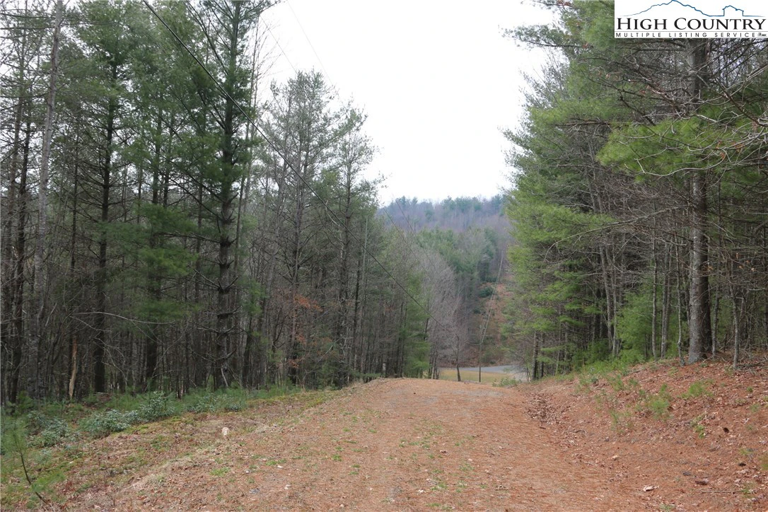 Image number 10 for the current listing