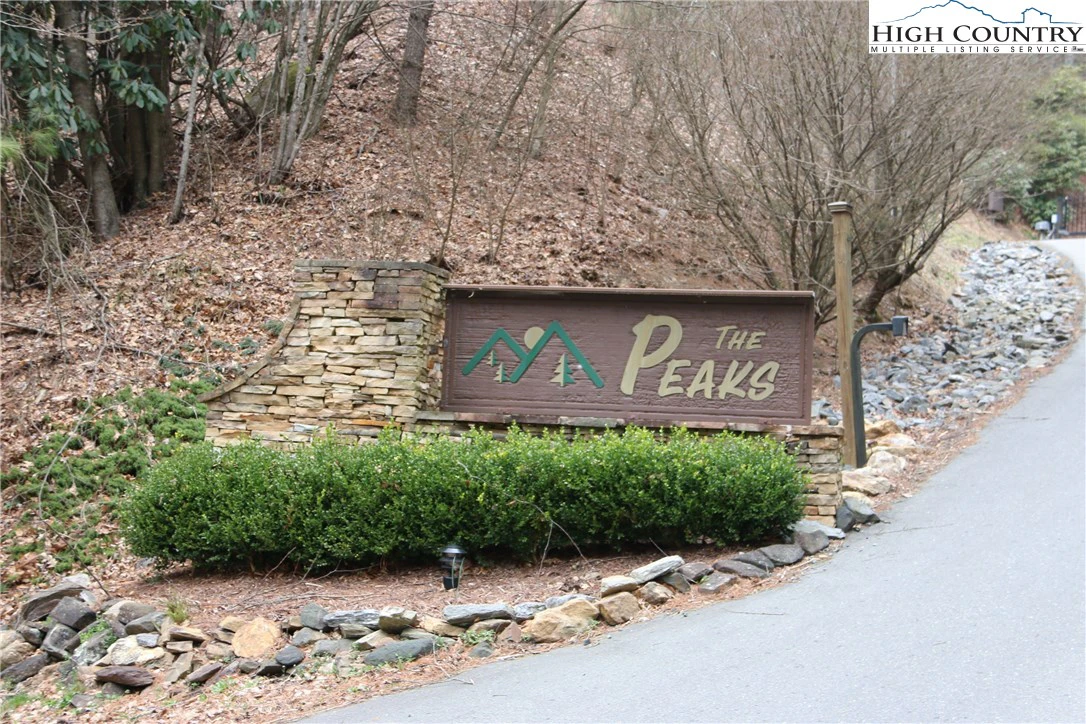 Image number 4 for the current listing
