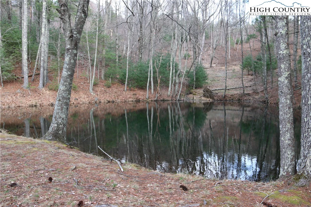 Image number 12 for the current listing