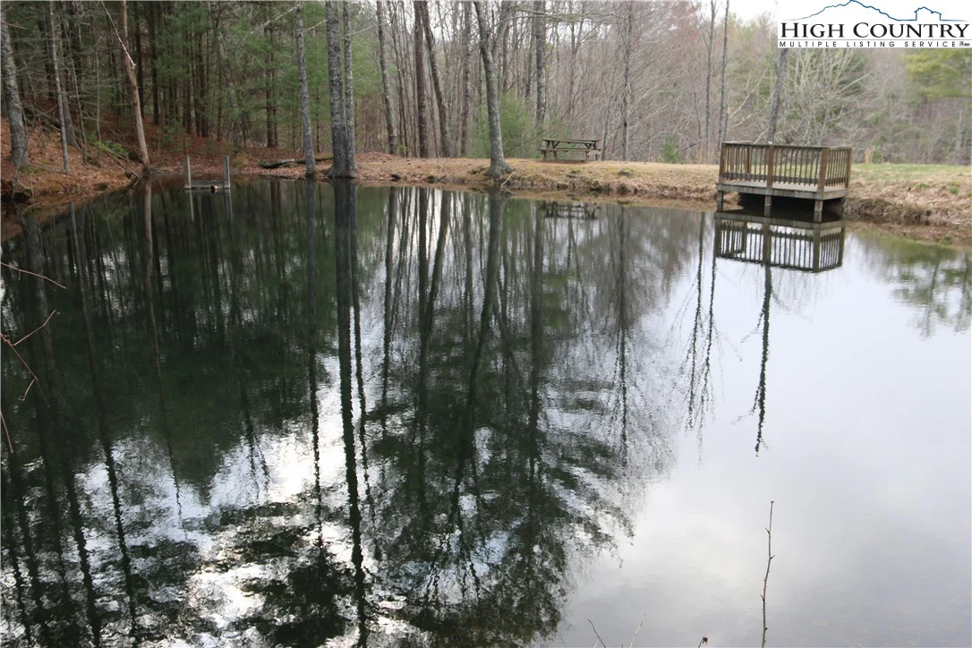 Image number 13 for the current listing