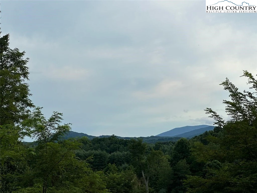 Image number 3 for the current listing