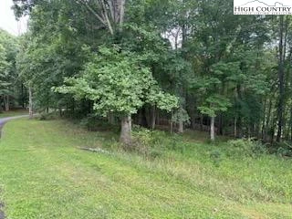 Image number 1 for the current listing