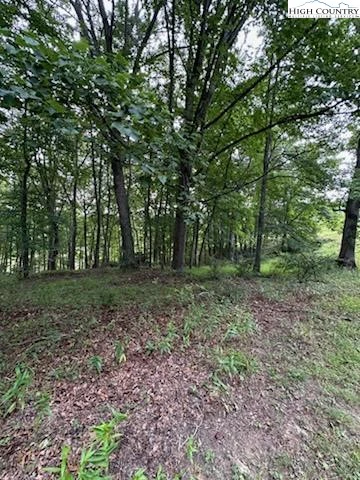 Image number 14 for the current listing