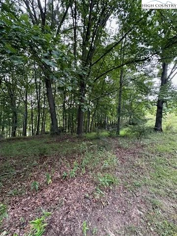 Image number 13 for the current listing
