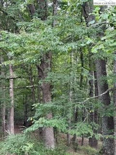 Image number 7 for the current listing