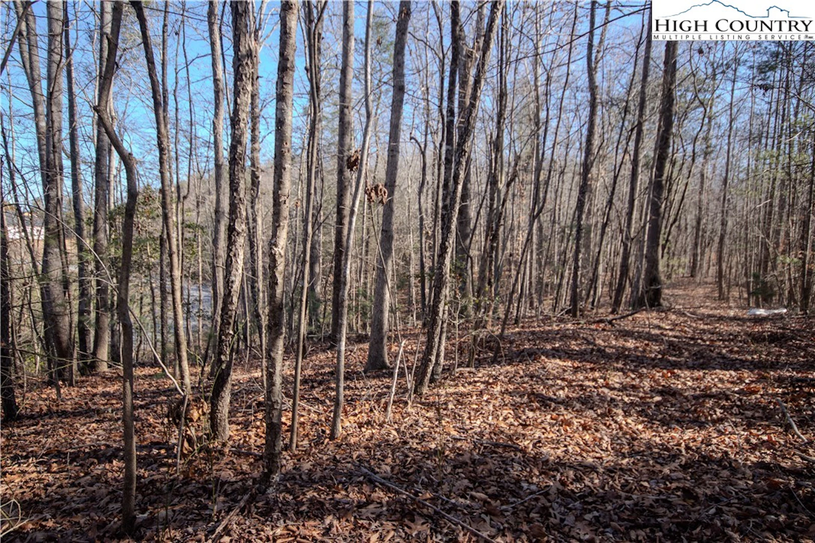 Image number 3 for the current listing