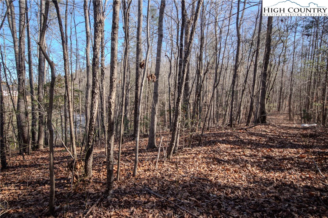 Image number 3 for the current listing