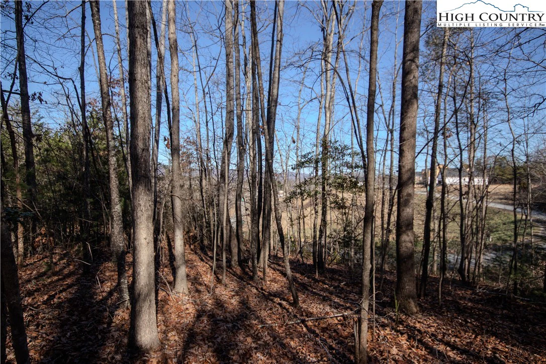Image number 4 for the current listing