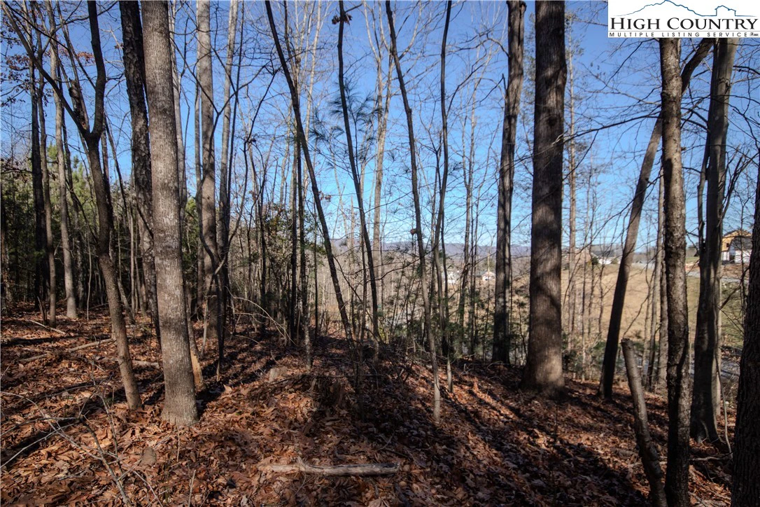 Image number 5 for the current listing