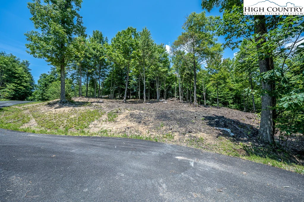 Image number 1 for the current listing