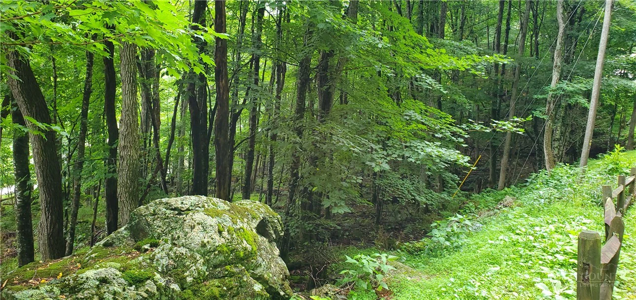 Image number 2 for the current listing