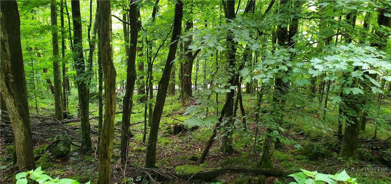 Image number 3 for the current listing