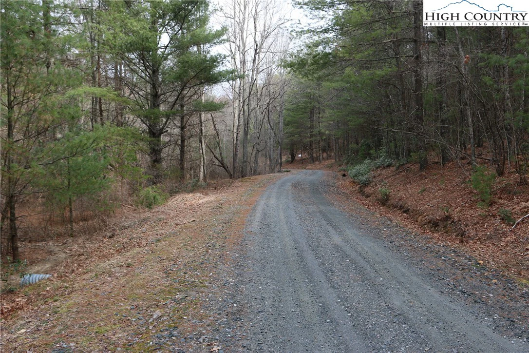 Image number 1 for the current listing