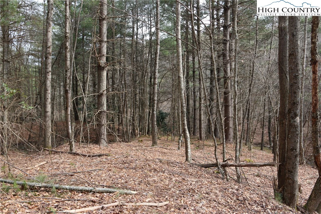 Image number 13 for the current listing