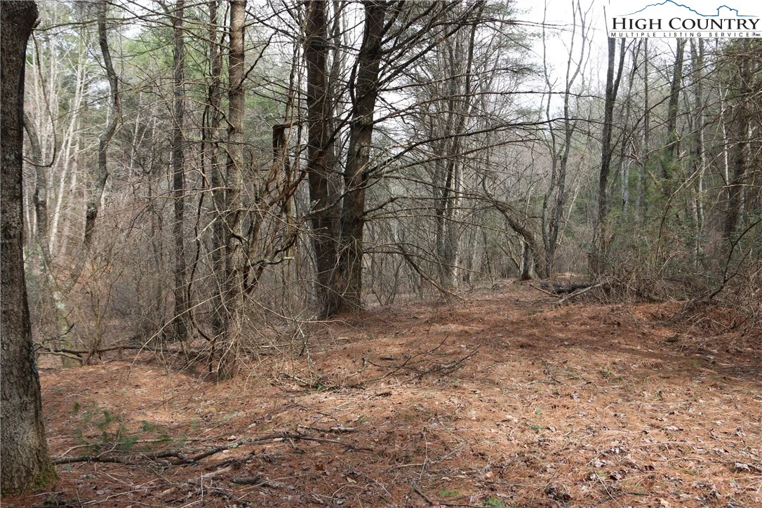 Image number 12 for the current listing