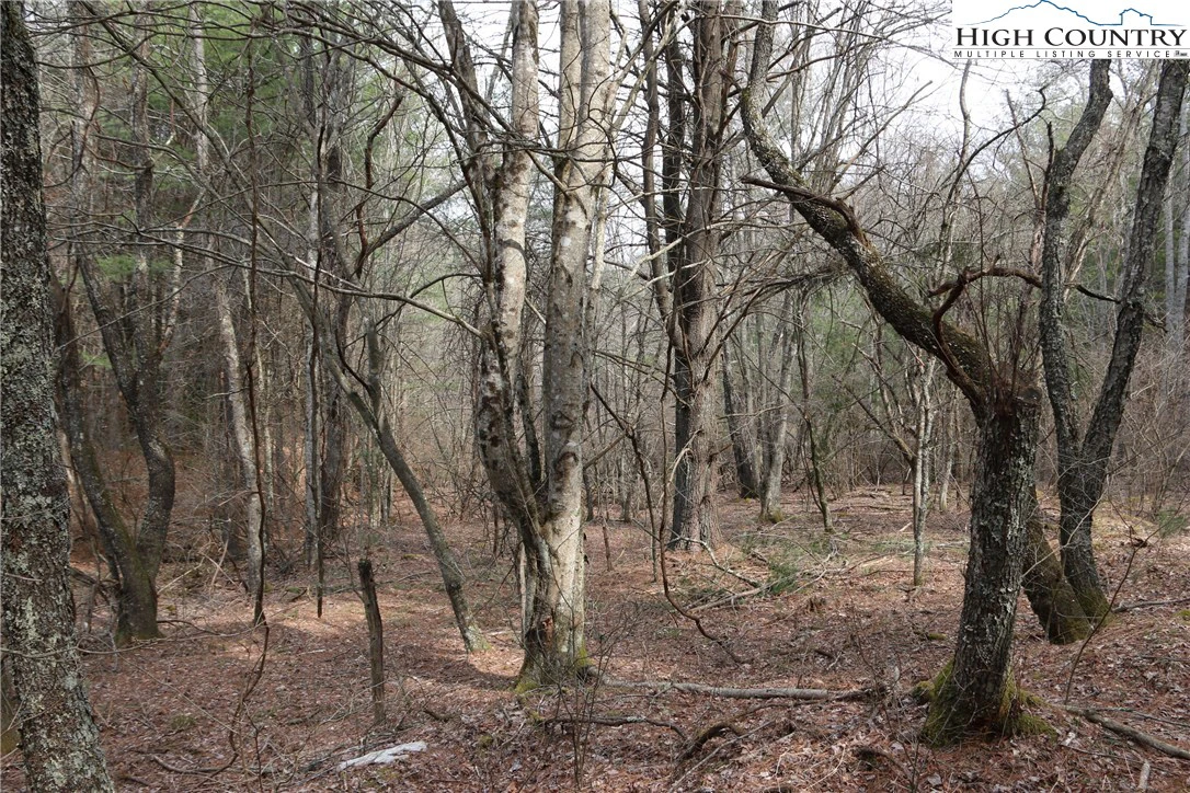 Image number 11 for the current listing