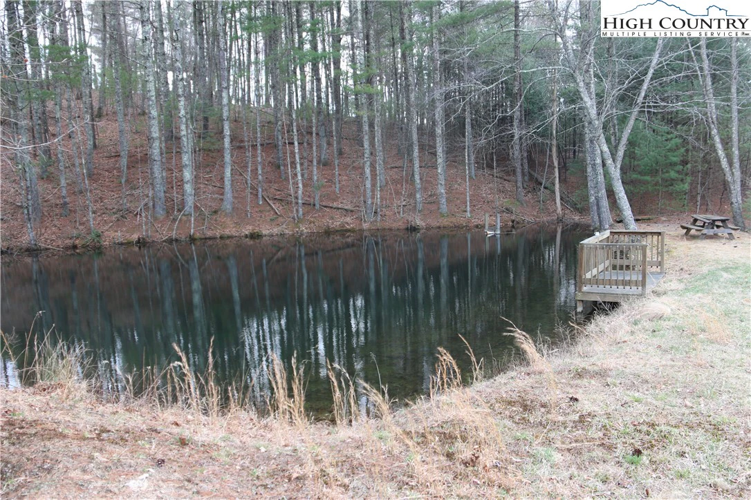 Image number 7 for the current listing