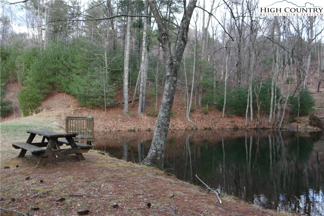 Image number 6 for the current listing
