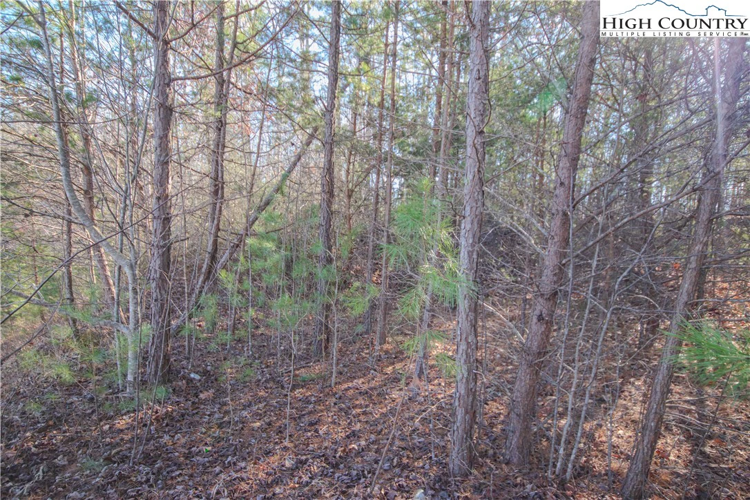 Image number 3 for the current listing