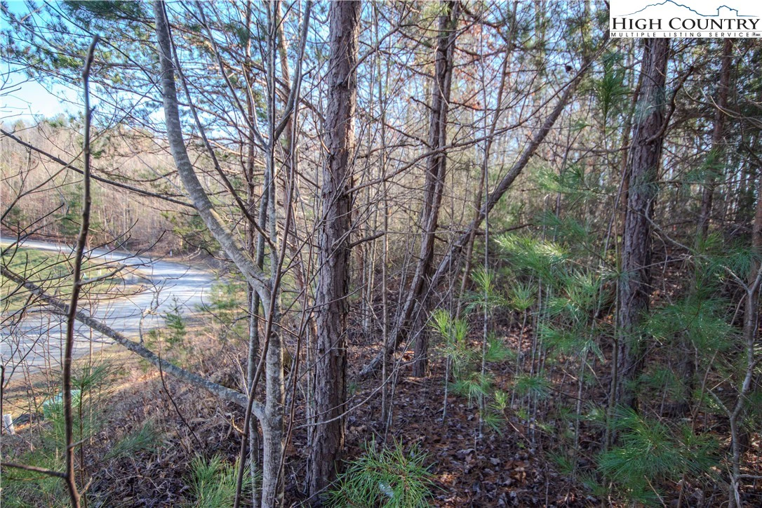 Image number 5 for the current listing