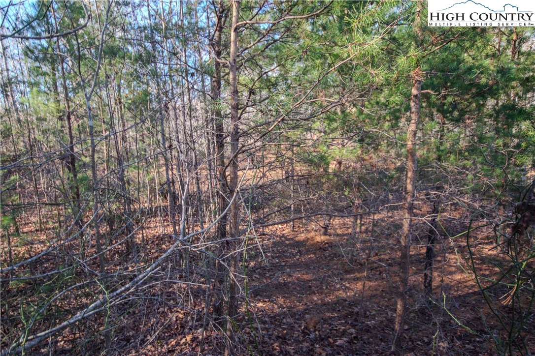 Image number 6 for the current listing