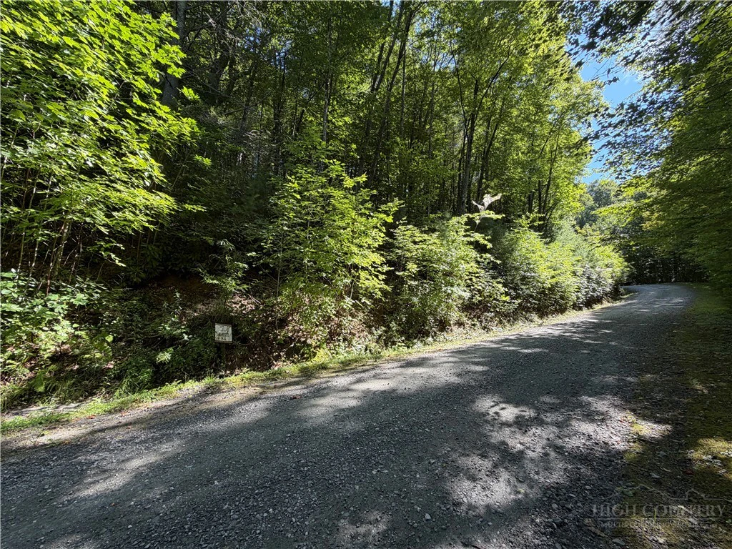 Image number 1 for the current listing