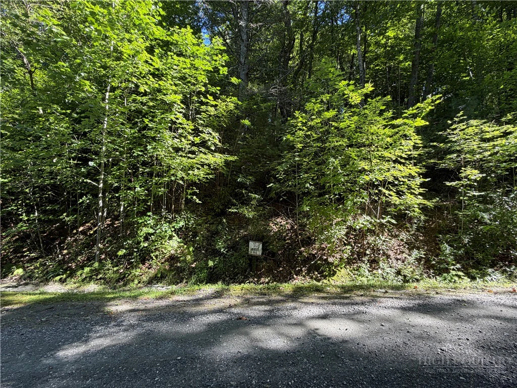 Image number 2 for the current listing