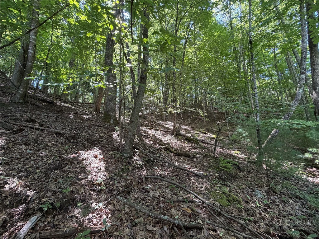 Image number 5 for the current listing