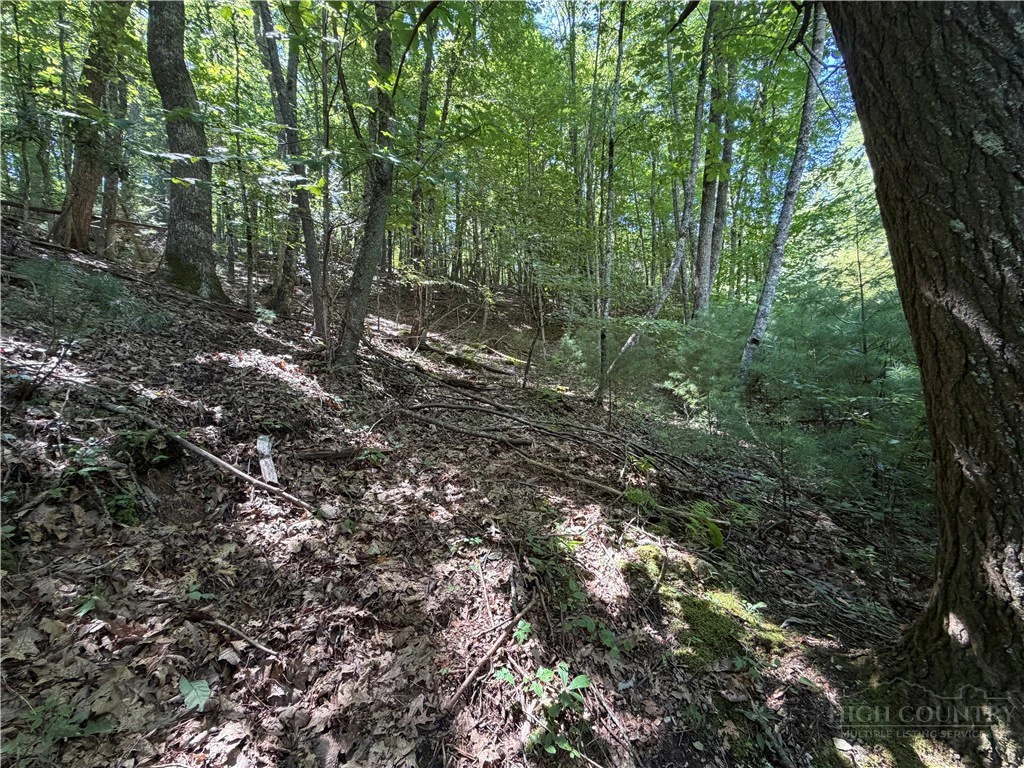 Image number 7 for the current listing