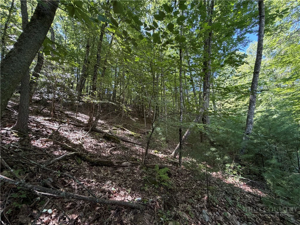 Image number 9 for the current listing