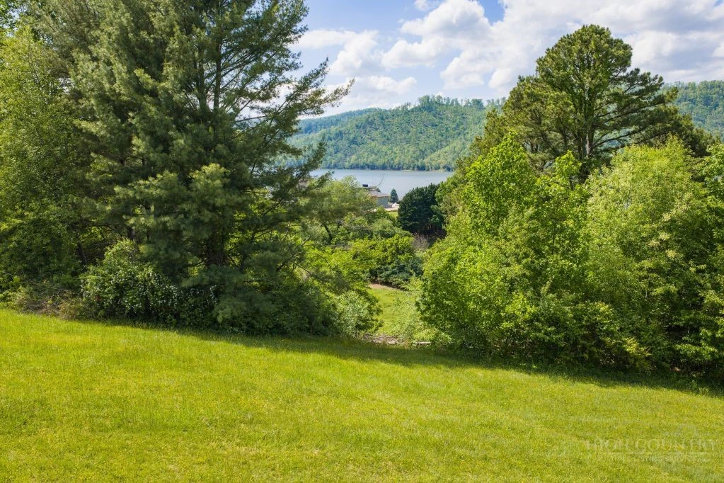 Image number 20 for the current listing