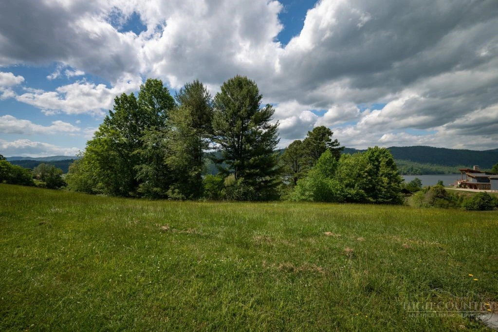 Image number 11 for the current listing