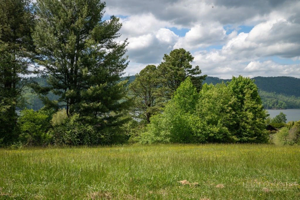 Image number 12 for the current listing