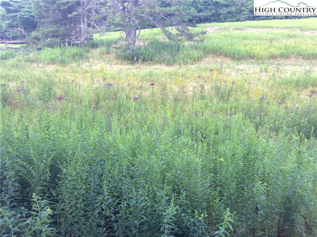 Image number 1 for the current listing