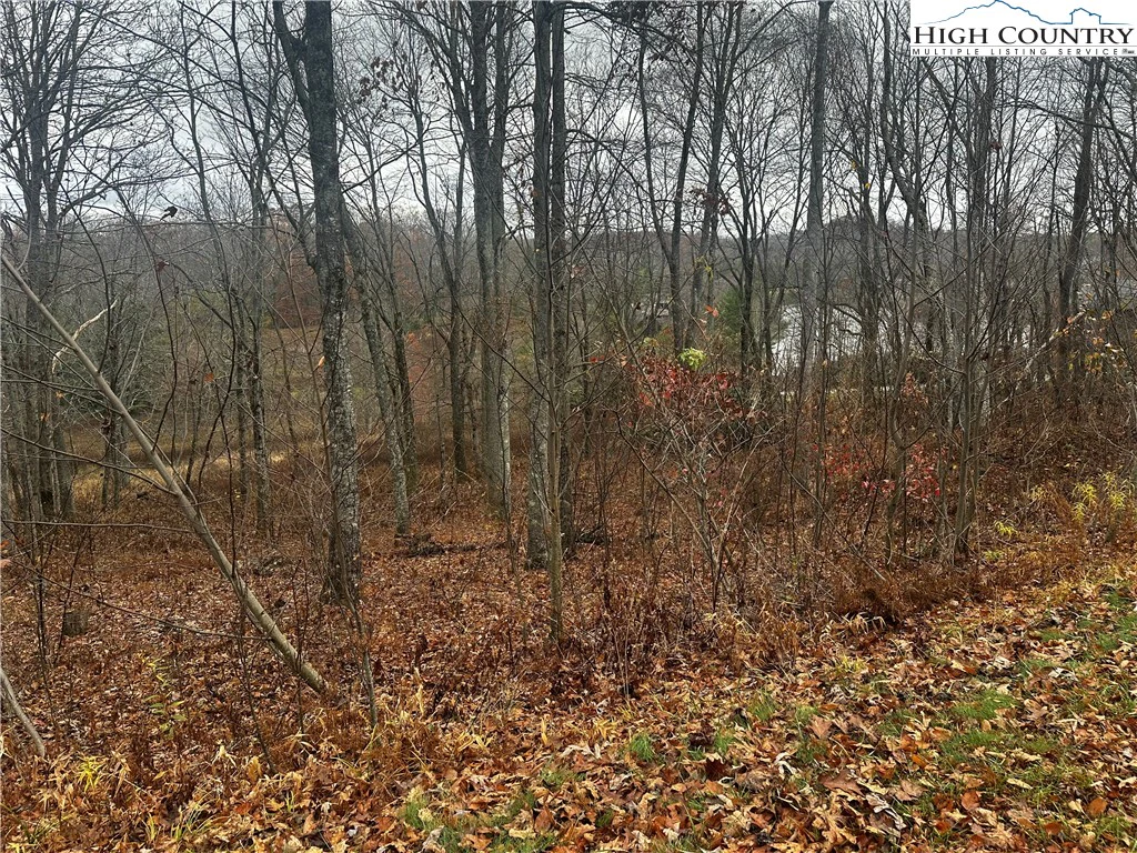 Image number 3 for the current listing