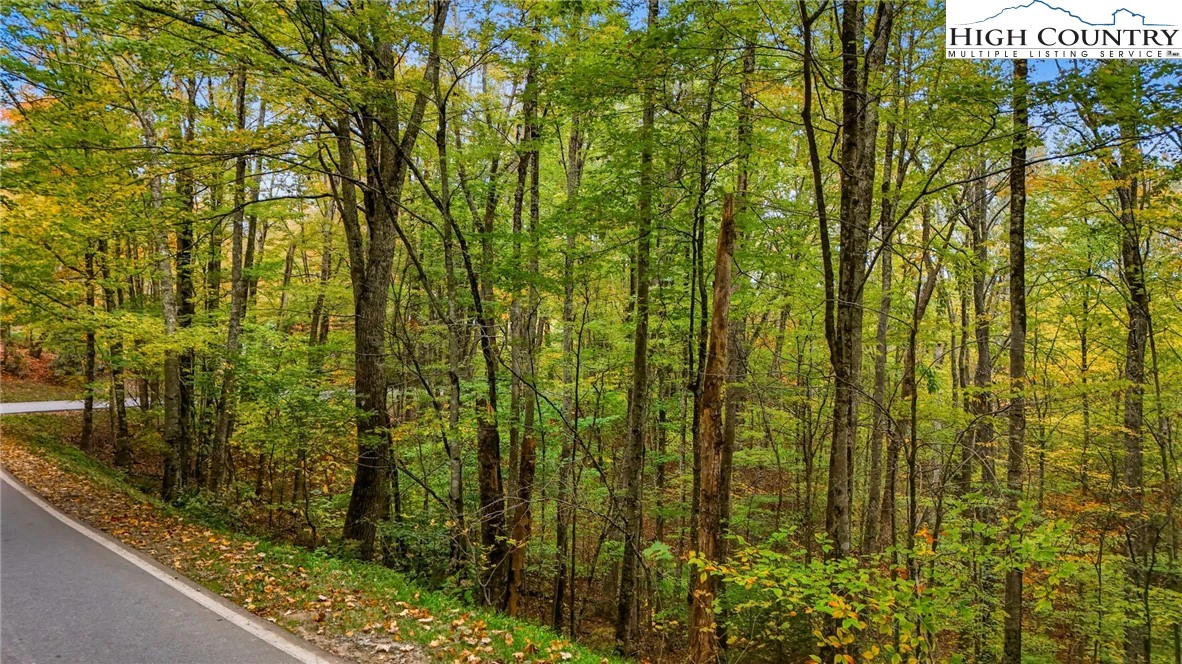 Image number 3 for the current listing