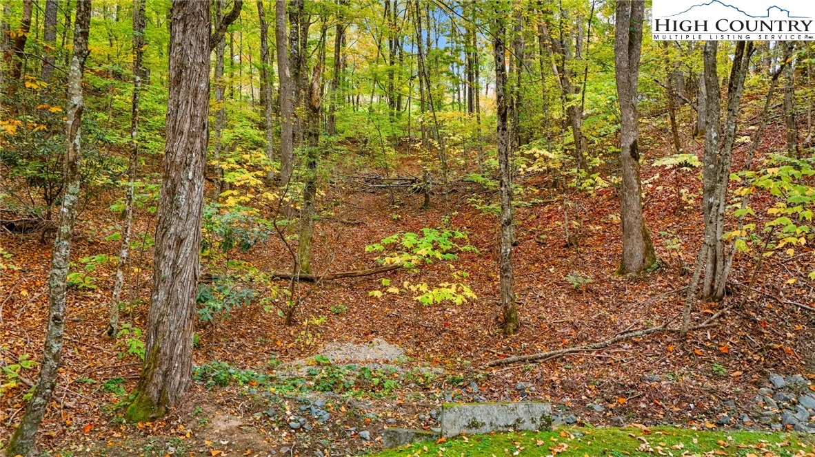 Image number 21 for the current listing