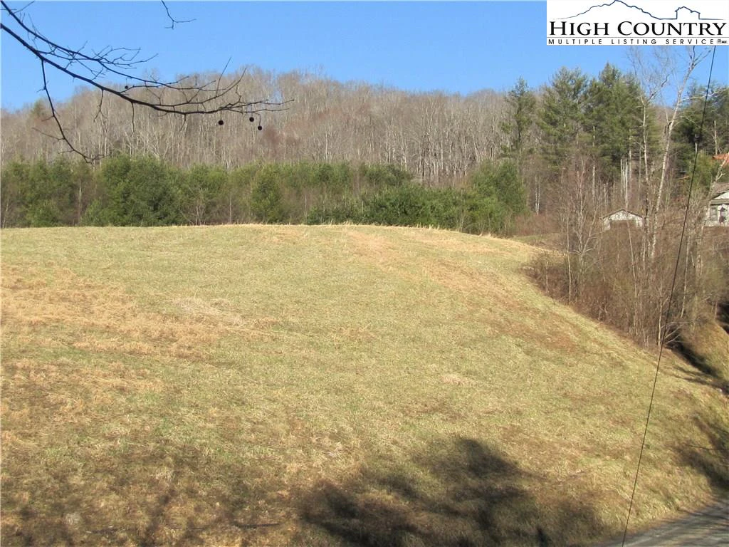 Image number 1 for the current listing