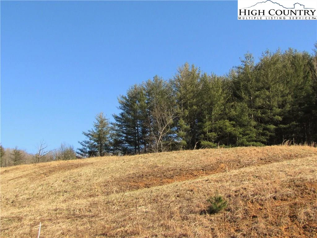 Image number 6 for the current listing