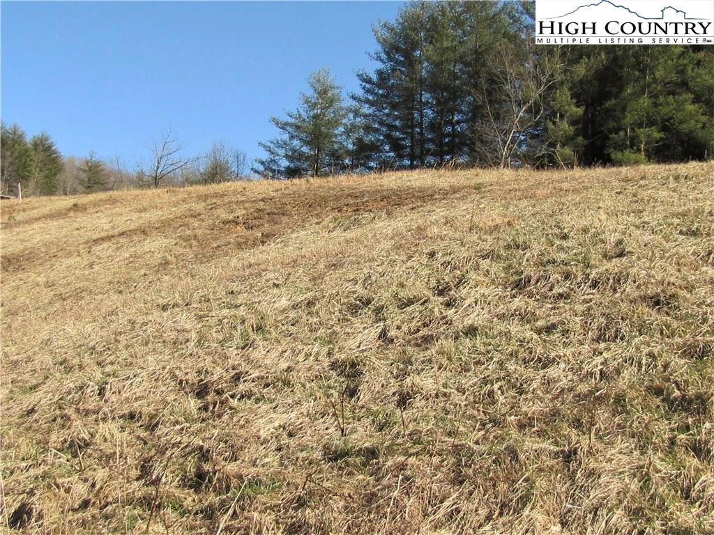 Image number 7 for the current listing